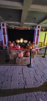 Frisco RoughRiders by null