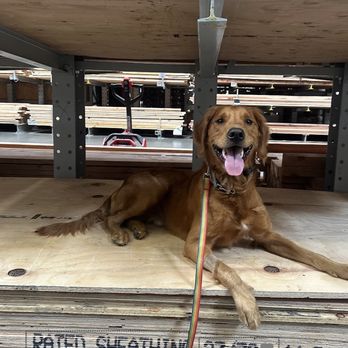 OffLeash SoCal - Pet Training Near Me - Santa Monica, California OffLeash SoCal - Pet Training Near Me - Santa Monica, California
