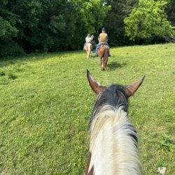 Stepping Stone Ranch