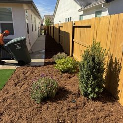 Gold Star Lawn Maintenance