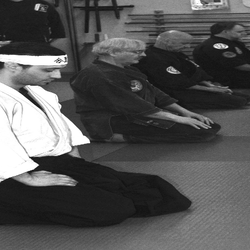Budo Kai Martial Arts Institute