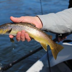 Steve Nelson fishing