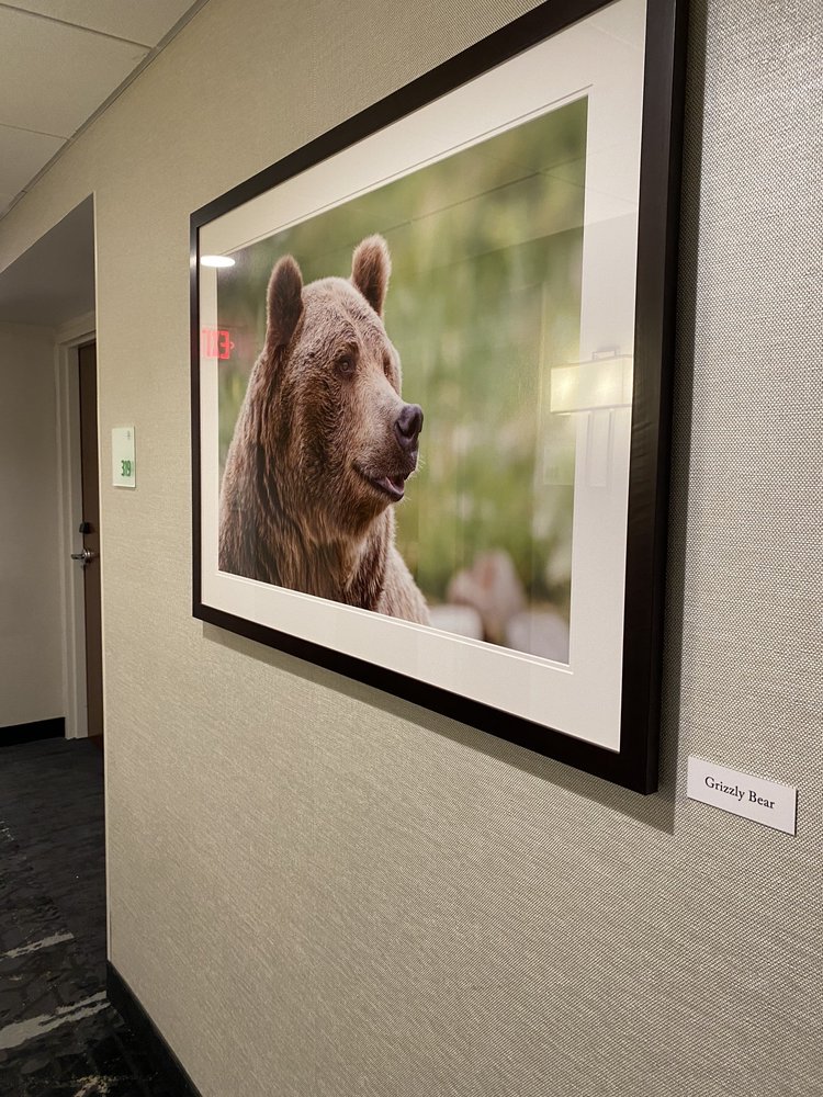 Holiday Inn Missoula Downtown - wedding in Missoula, MT