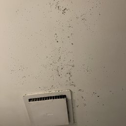 Black mold in bathroom. Leaking from ceiling that seems to have water damage. Black mold in bathroom. Leaking from ceiling that seems to have water damage.