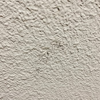 Super 8 by Wyndham Front Royal - Kinda hard to tell in the lighting but that's a nasty glob of hair on the bathroom wall. - Hotels Near Me - Front Royal, Virginia