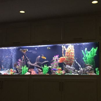Aquatech Aquarium Service - Aquarium Services Near Me - Culver City, California Aquatech Aquarium Service - Aquarium Services Near Me - Culver City, California