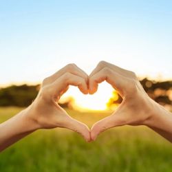 Maryland Wellness & Recovery