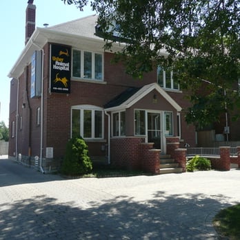 VCA Canada Usher Animal Hospital - Veterinarians Near Me - Toronto, Ontario VCA Canada Usher Animal Hospital - Veterinarians Near Me - Toronto, Ontario