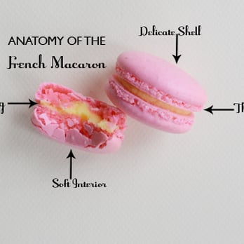 Le Bon Macaron - Photo from www.lebonmacaron.com - Macarons Near Me - Grand Rapids, Michigan