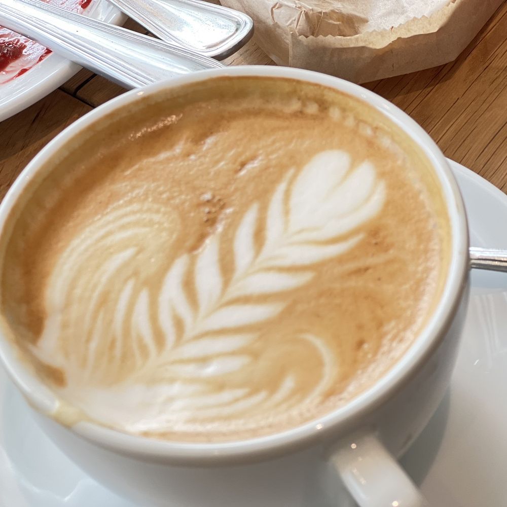 Fox in the Snow - Latte 09/2023 sip taken - Bakeries Near Me - Dublin, Ohio Fox in the Snow - Latte 09/2023 sip taken - Bakeries Near Me - Dublin, Ohio