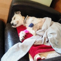 Happy girl resting at home. Happy girl resting at home.