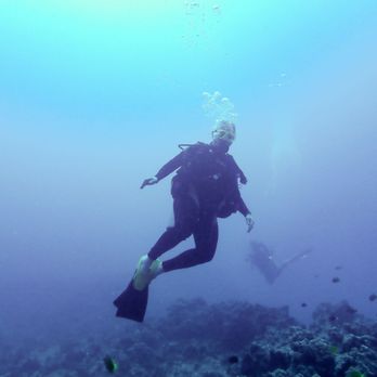 Aloha Scuba Diving Company - Michael E. Lynch, Pinnacles, Oahu, 80', photo by Keith Crowell. - Scuba Diving Near Me - Honolulu, Hawaii Aloha Scuba Diving Company - Michael E. Lynch, Pinnacles, Oahu, 80', photo by Keith Crowell. - Scuba Diving Near Me - Honolulu, Hawaii