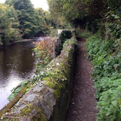 Lower River Trail - Peaceful trail for running or walking next to the river