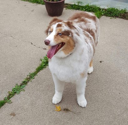 Bubbles and bows near me Clearance