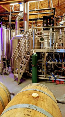 Audio Graph Beer Co. by null