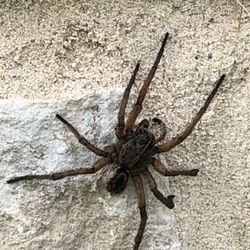 Eden’s Guard Pest Control