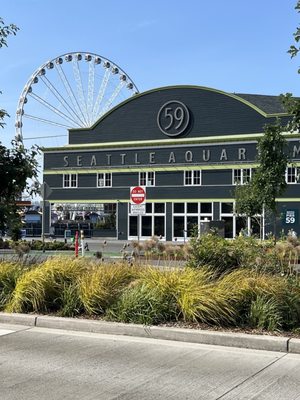 Seattle Aquarium by null