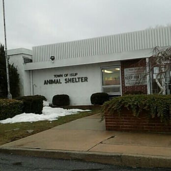 ISLIP TOWN OF ANIMAL SHELTER - Updated July 2025 - 20 Reviews - 200 S