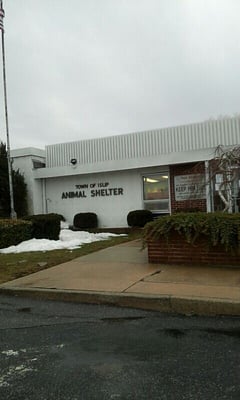 ISLIP TOWN OF ANIMAL SHELTER - Updated February 2026 - 22 Reviews - 200
