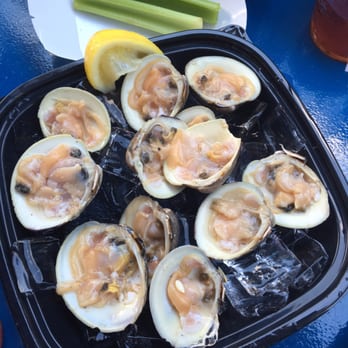 Captain's Inn - Clams on the half shell! - Bars Near Me - Forked River, New Jersey