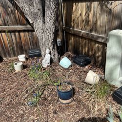 J's Pest Solutions - rodent trapping