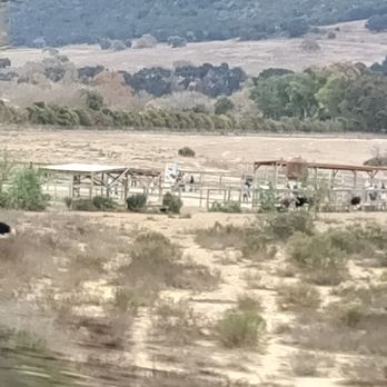 Ostrichland USA - The view from the road - Attraction Farms Near Me - Solvang, California Ostrichland USA - The view from the road - Attraction Farms Near Me - Solvang, California