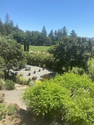 Ladera Vineyards by null