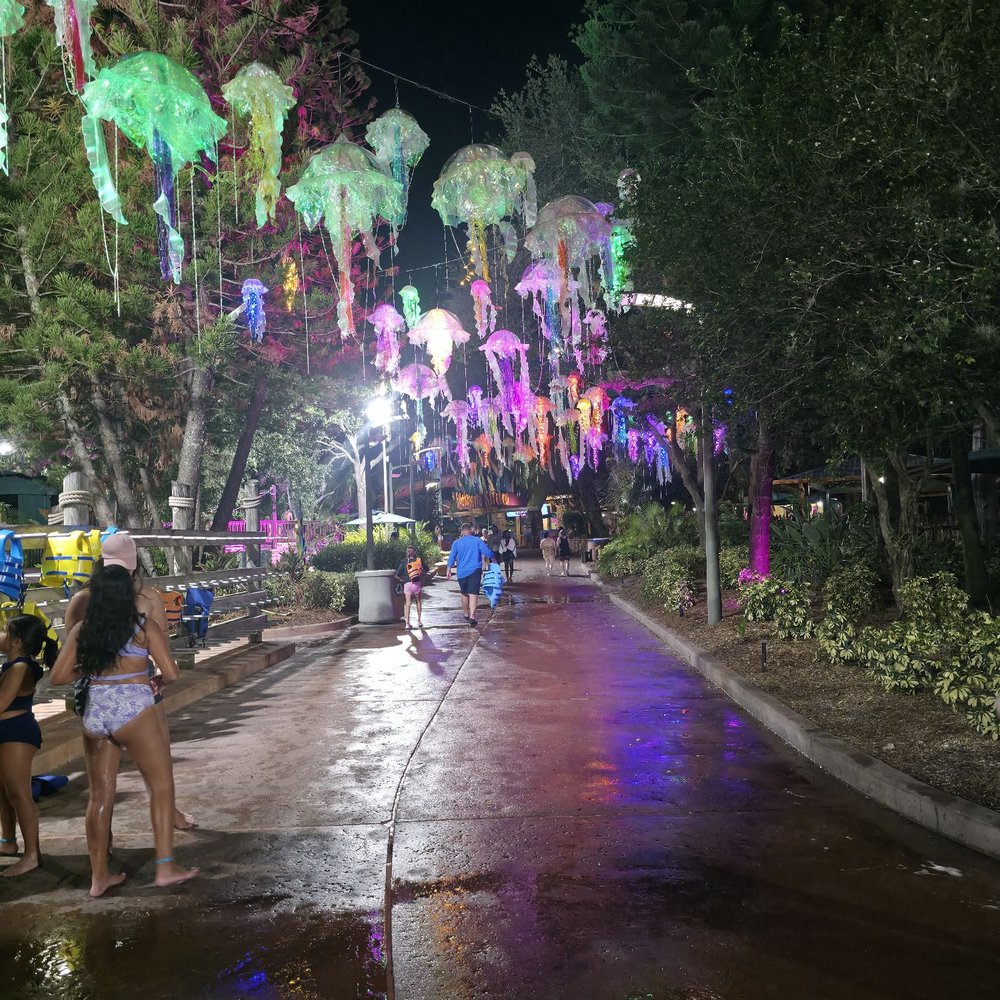 Aquatica Orlando - Walkway - Water Parks Near Me - Orlando, Florida Aquatica Orlando - Walkway - Water Parks Near Me - Orlando, Florida