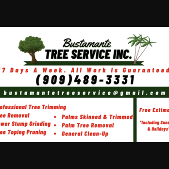 Bustamante Tree Service - Tree Services Near Me - South Gate, California