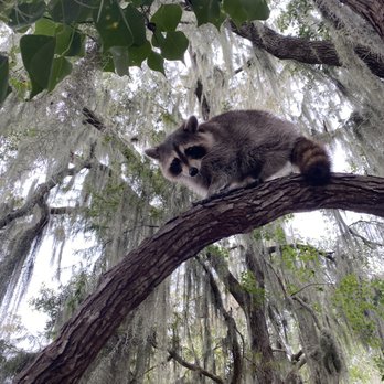 Airboat Adventures - Boat Tours Near Me - Lafitte, Louisiana