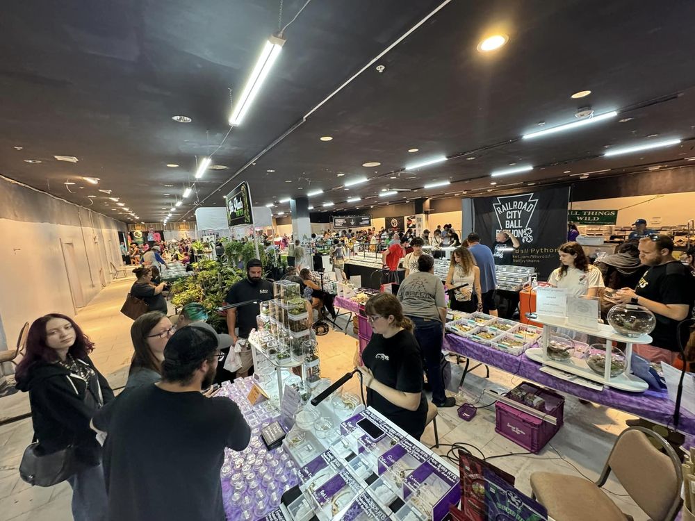 Pittsburgh Reptile Show & Sale - reptile breeding in Tarentum, PA