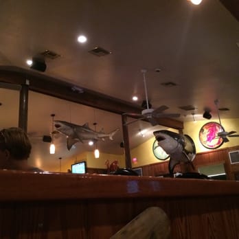 Live Bait - Sharks hanging over bar - Bars Near Me - Orange Beach, Alabama Live Bait - Sharks hanging over bar - Bars Near Me - Orange Beach, Alabama