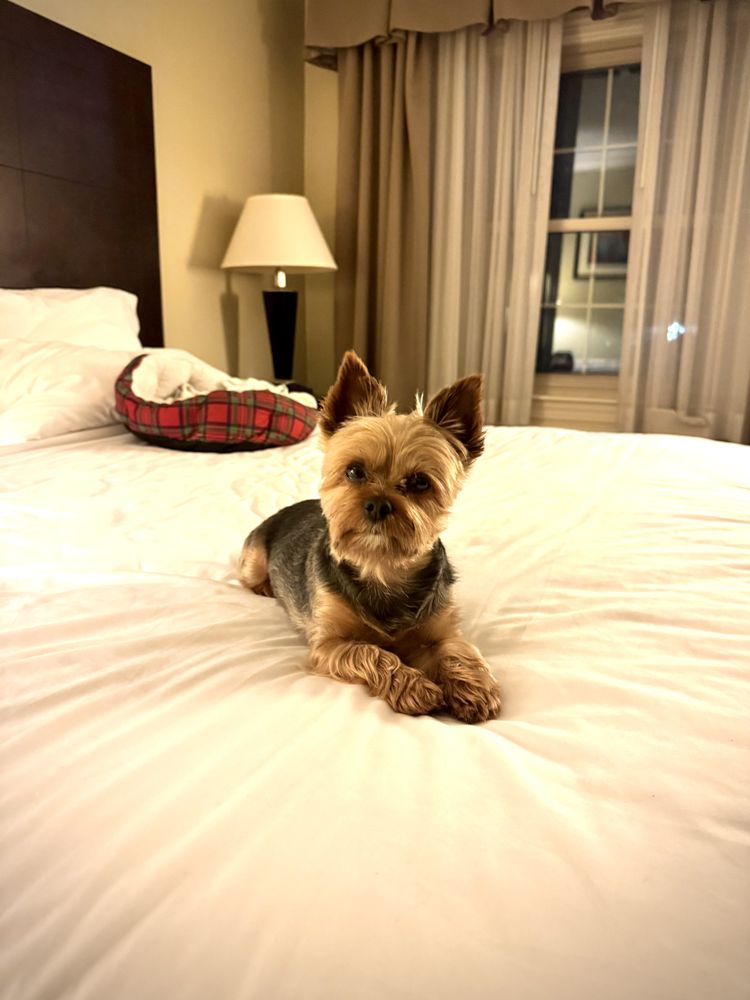 Holiday Inn Express & Suites Merrimack - wedding in Merrimack, NH