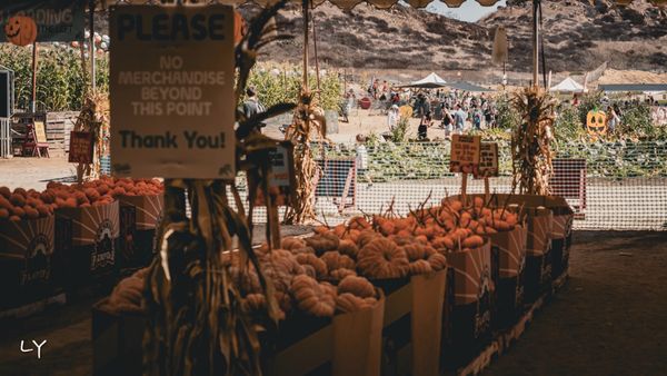 Tanaka Farms by null