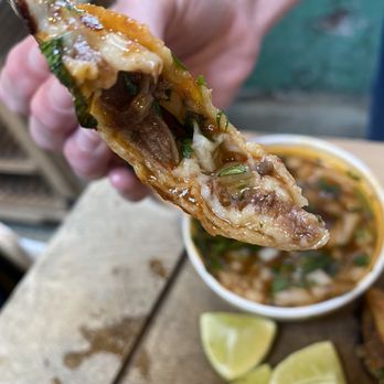 Muchachas - Quesatacos - Mexican Near Me - Tampa, Florida