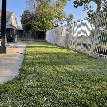 Quality Turf Sod Farm - Day 1 - Landscaping Near Me - San Jacinto, California Quality Turf Sod Farm - Day 1 - Landscaping Near Me - San Jacinto, California