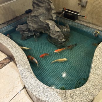 太平館餐廳 - Koi pond under the stairs - Chinese Near Me - Hong Kong, HK