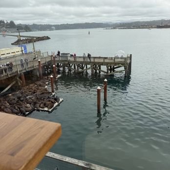 Clearwater Restaurant - The view from our table - New American Near Me - Newport, Oregon Clearwater Restaurant - The view from our table - New American Near Me - Newport, Oregon