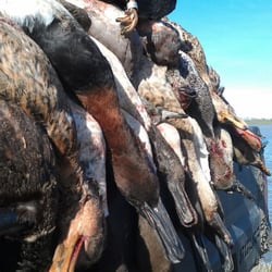 Fowl Pursuer Outdoor Adventures - Fowl Pursuer Outdoor Adventures is a premiere guide service offering first-class hunting adventures.
