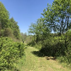 North County Park - Trails at park