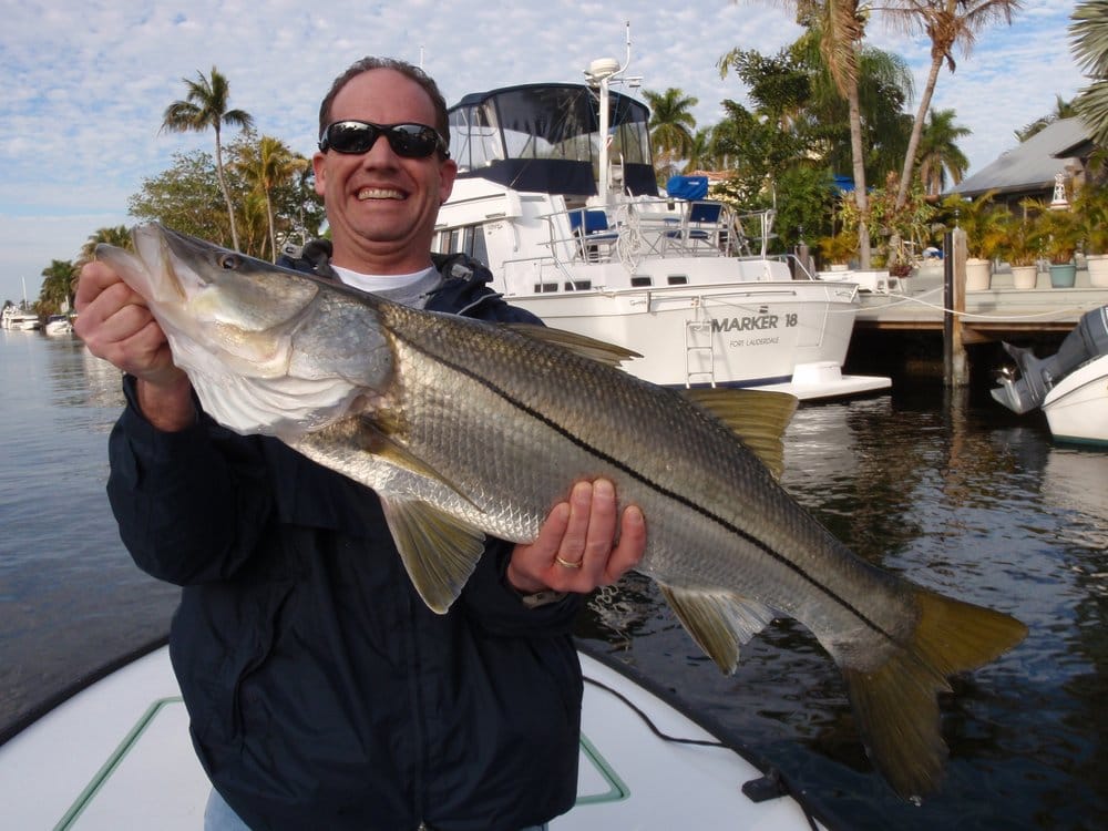 AWOL Fishing Guide Logo
