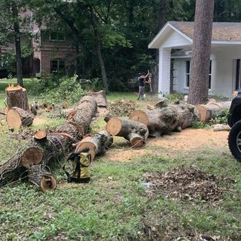 Lightning Tree Experts - Land Clearance - Tree Services Near Me