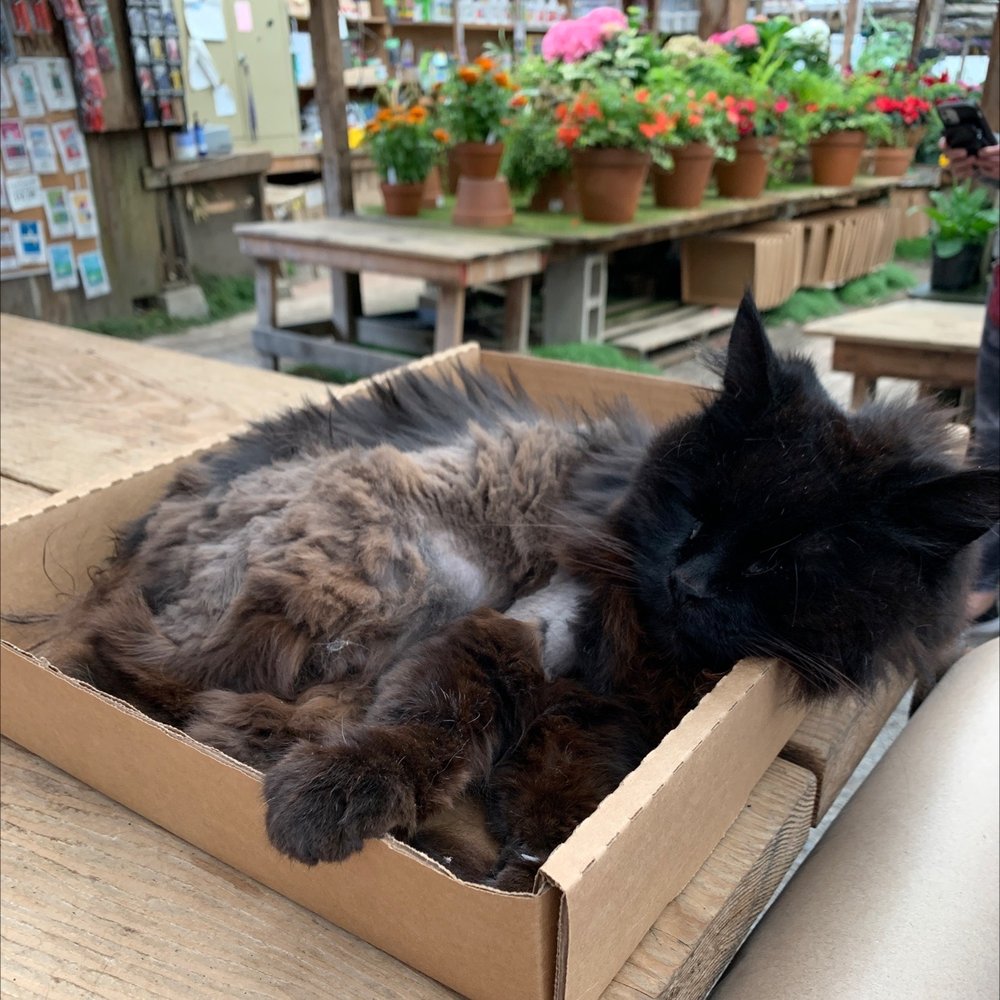 Half Moon Bay Nursery - Nurseries & Gardening Near Me - Half Moon Bay, California