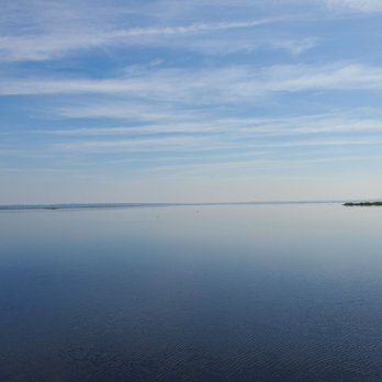 Paynes Prairie Preserve State Park - Parks Near Me - Micanopy, Florida