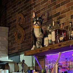a dog on a shelf