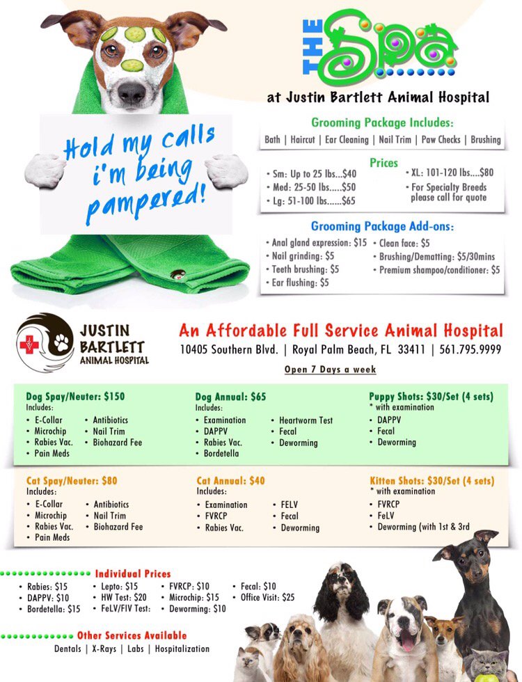 justin bartlett adoption center