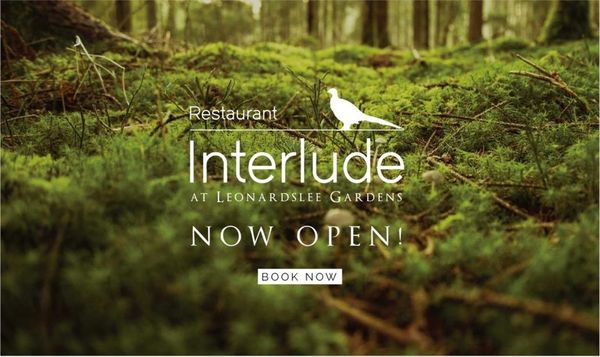 Restaurant Interlude by null