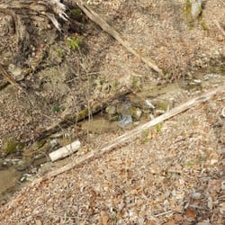 Boone Cliffs State Nature Preserve - An awesome, running creek.