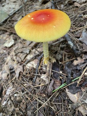 Don Carter State Park by null