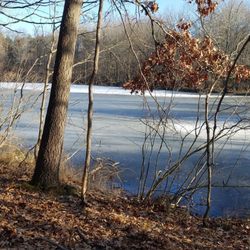 Spirit Springs Sanctuary